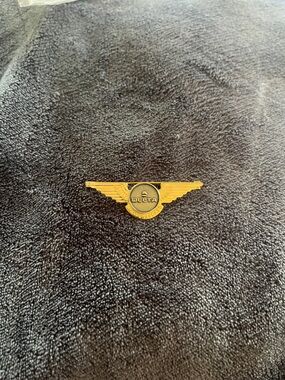 Delta Gold Wing Lapel Pin